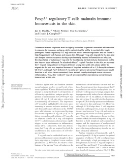 Foxp3 + regulatory T cells maintain immune homeostasis in