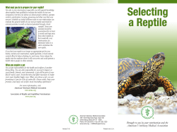 Selecting a Reptile - AVMA Store - American Veterinary Medical