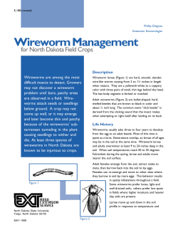 Wireworm Management for North Dakota Field Crops
