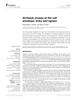 Archaeal viruses at the cell envelope: entry and egress