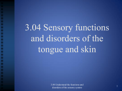 3.04 Sensory functions and disorders of the tongue and