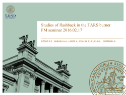 Studies of flashback in the TARS burner FM seminar 2016.02.17