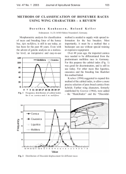 METHODS OF CLASSIFICATION OF HONEYBEE RACES USING