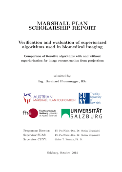 MARSHALL PLAN SCHOLARSHIP REPORT