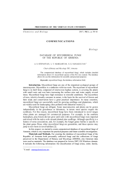 Database of mycorrhizal fungi of the Republic of Armenia