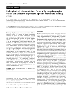 Endocytosis of plasma-derived factor V by megakaryocytes occurs