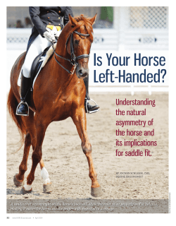 Is Your Horse Left-Handed?