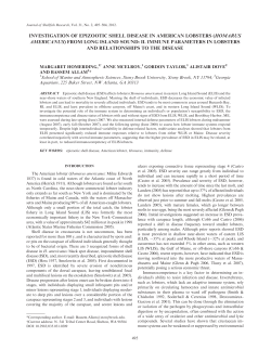 investigation of epizootic shell disease in american lobsters