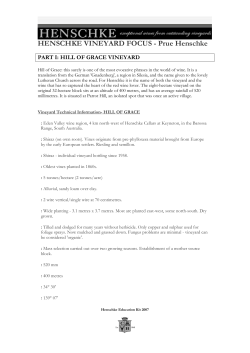 HENSCHKE VINEYARD FOCUS - Prue Henschke