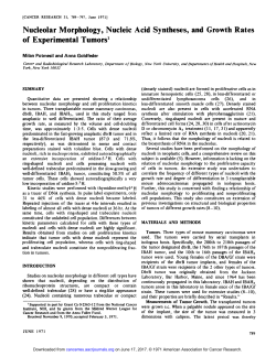 Nucleolar Morphology, Nucleic Acid Syntheses