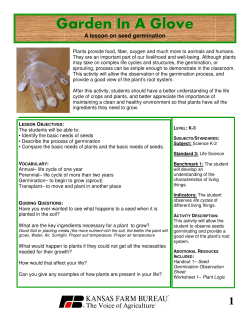 Garden in a Glove LP