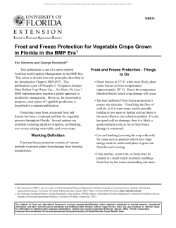 Frost and Freeze Protection for Vegetable Crops Grown in Florida in