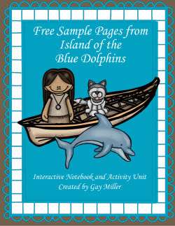 Free Sample Pages from Island of the Blue Dolphins