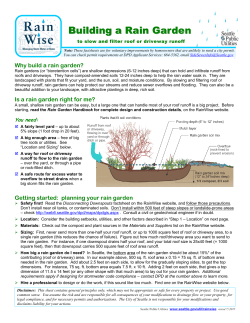 Building a Rain Garden