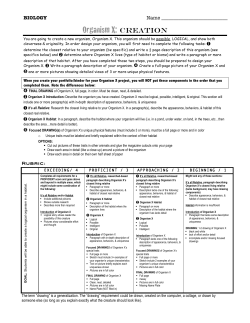 ORGANISM X - Creation organismx_creation_rubric