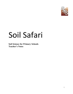 Soil Safari - Soil