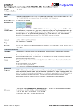 Cynomolgus / Rhesus macaque FcRn / FCGRT