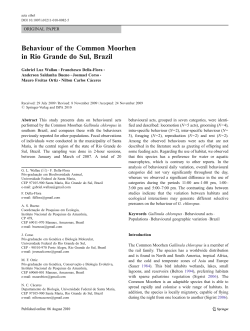 Behaviour of the Common Moorhen in Rio Grande do Sul, Brazil