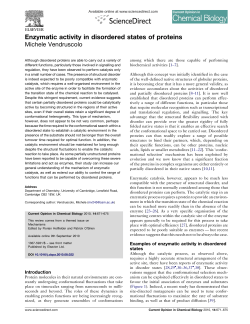 Enzymatic activity in disordered states of proteins