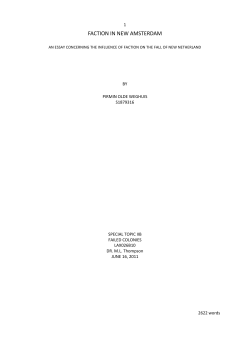 faction in new amsterdam