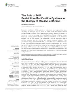 The Role of DNA Restriction-Modification Systems in the Biology of