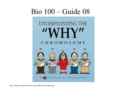 Bio 100 &ndash; Guide 08