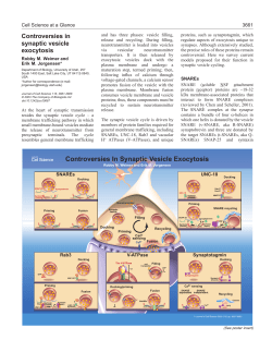 Controversies In Synaptic Vesicle Exocytosis