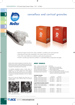 cancellous and cortical granules