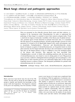 Black fungi: clinical and pathogenic approaches