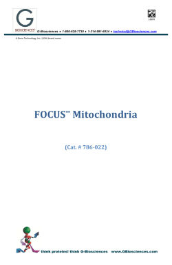 FOCUS Mitochondria (Cat. # 786-022) - G