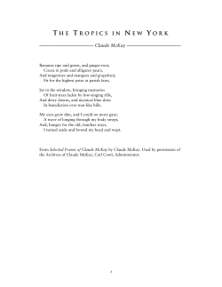 The Tropics In New York