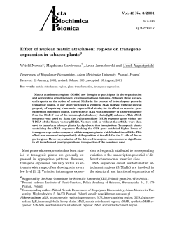 Effect of nuclear matrix attachment regions on transgene expression