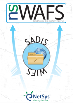 nsWAFS - Netsys International
