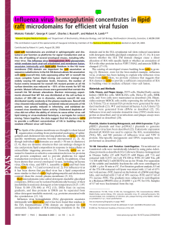Influenza virus hemagglutinin concentrates in lipid raft