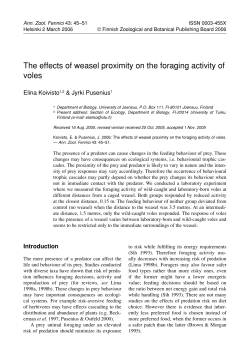 The effects of weasel proximity on the foraging activity of voles