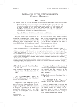 systematics of the rhynchosia senna complex (fabaceae)