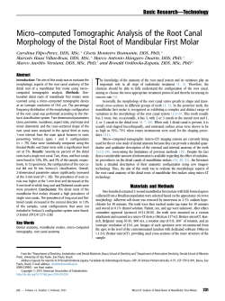 Micro-computed Tomographic Analysis of the Root Canal
