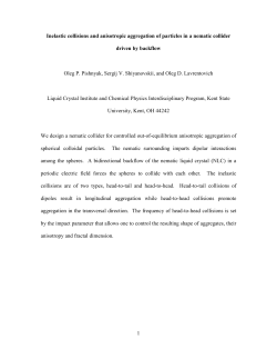 1 Inelastic collisions and anisotropic aggregation of particles in a