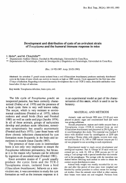 Toxoplasma gondi&iacute;. T. gondii usually (Glaucidium brasilianum