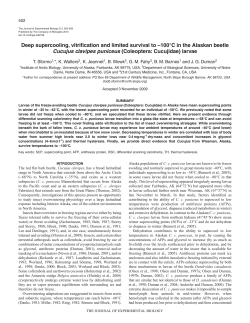 Deep supercooling, vitrification and limited survival to