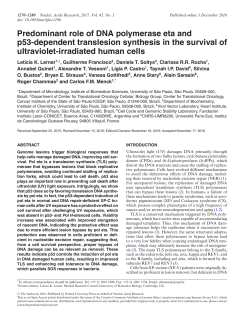 Predominant role of DNA polymerase eta and p53
