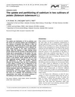 The uptake and partitioning of cadmium in two cultivars of potato