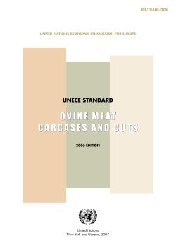 ovine meat carcases and cuts