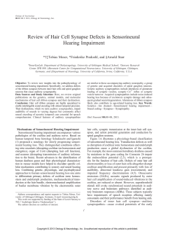 Review of Hair Cell Synapse Defects in Sensorineural