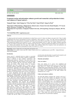 Exogenous auxins and polyamines enhance growth and rosmarinic