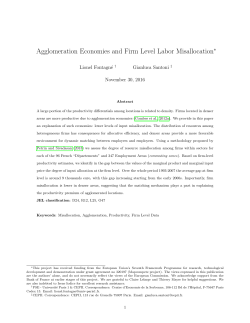 Agglomeration Economies and Firm Level Labor