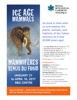 Experience the Ice Age