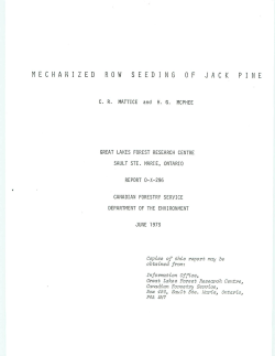 mechanized row seeding of jack pine