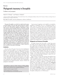 Phylogenetic taxonomy in Drosophila: Problems and prospects.