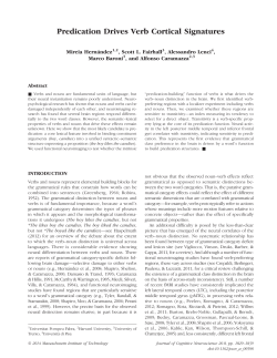 Predication Drives Verb Cortical Signatures